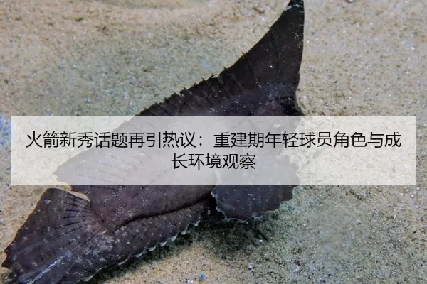 火箭新秀话题再引热议：重建期年轻球员角色与成长环境观察